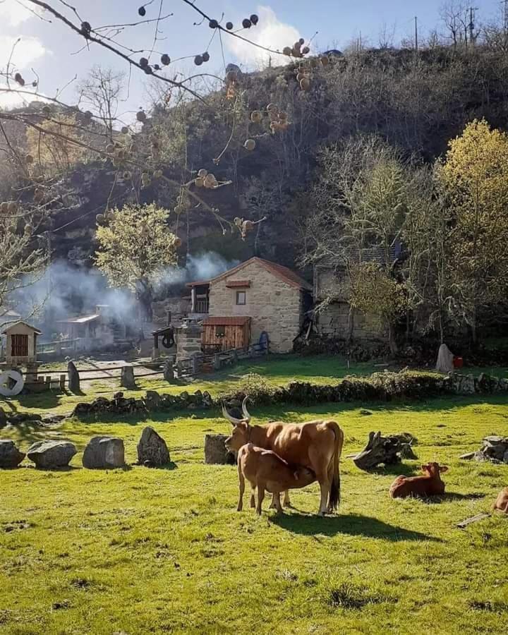 Aldeia De Pontes - Castro Laboreiro Εξωτερικό φωτογραφία